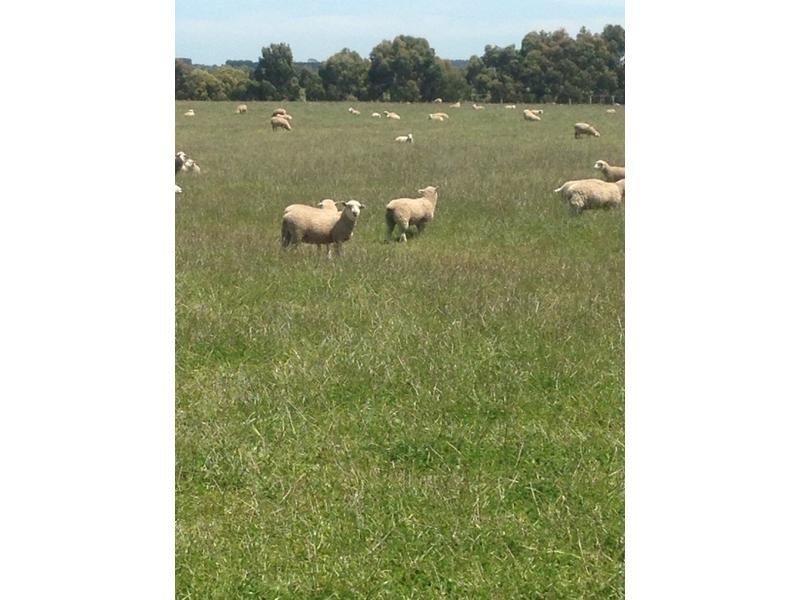 Kooringal Road, Minhamite VIC 3287
