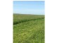 Kooringal Road, Minhamite VIC 3287