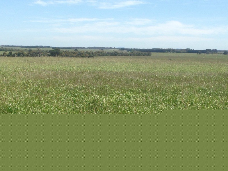 Kooringal Road, Minhamite VIC 3287