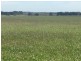 Kooringal Road, Minhamite VIC 3287