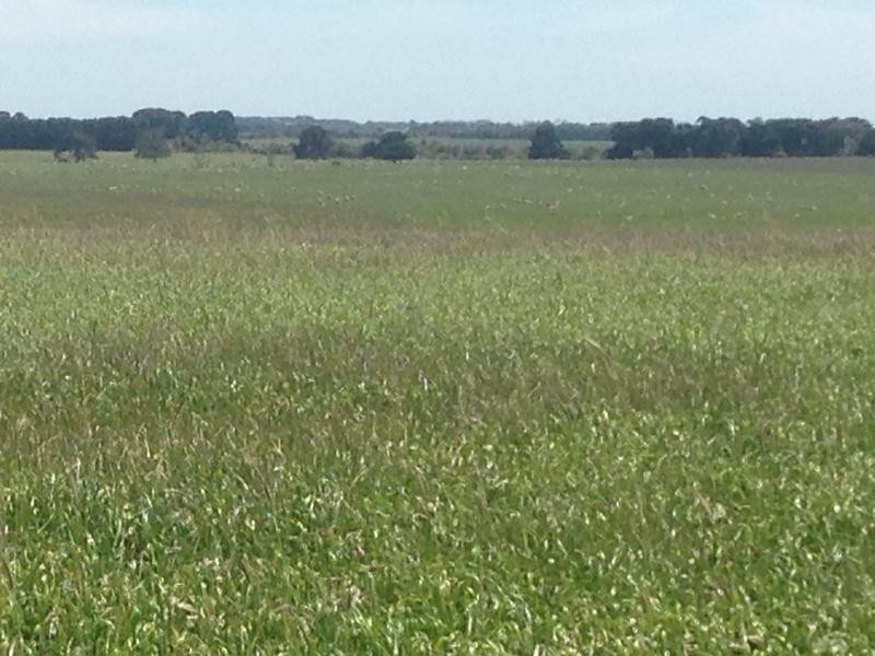 Kooringal Road, Minhamite VIC 3287