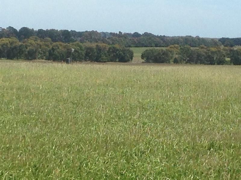 Kooringal Road, Minhamite VIC 3287