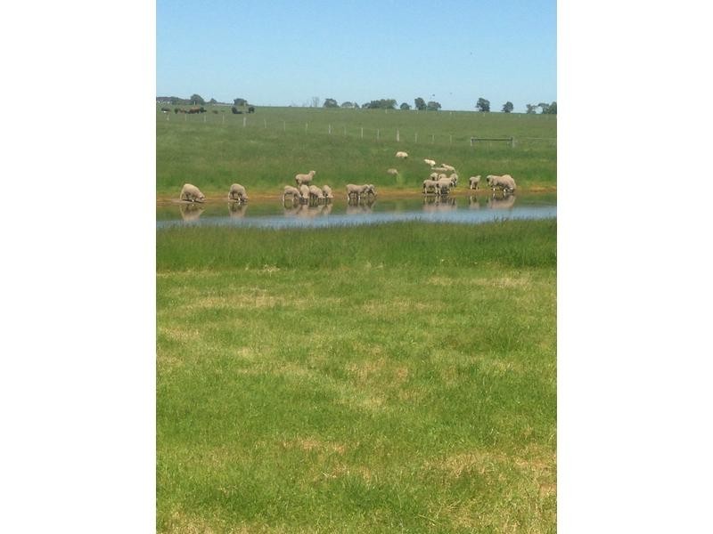 Kooringal Road, Minhamite VIC 3287
