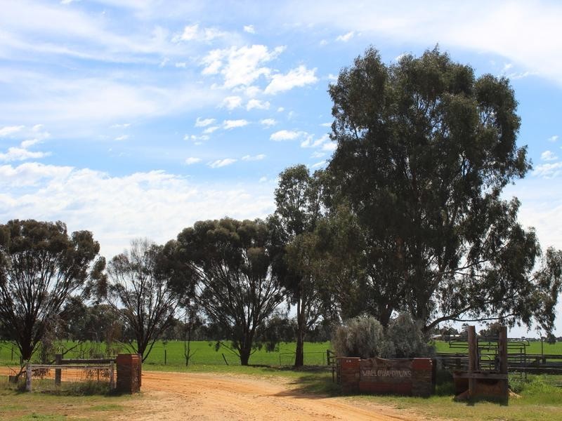 298 Arthurs Road, Telopea Downs VIC 3420