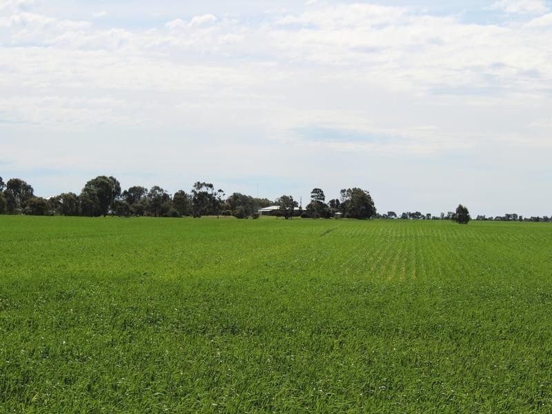 298 Arthurs Road, Telopea Downs VIC 3420