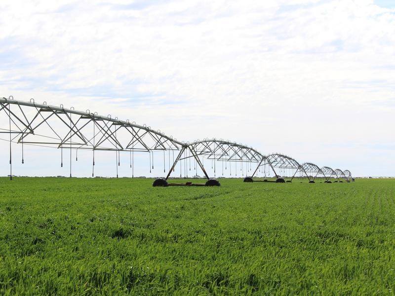 298 Arthurs Road, Telopea Downs VIC 3420