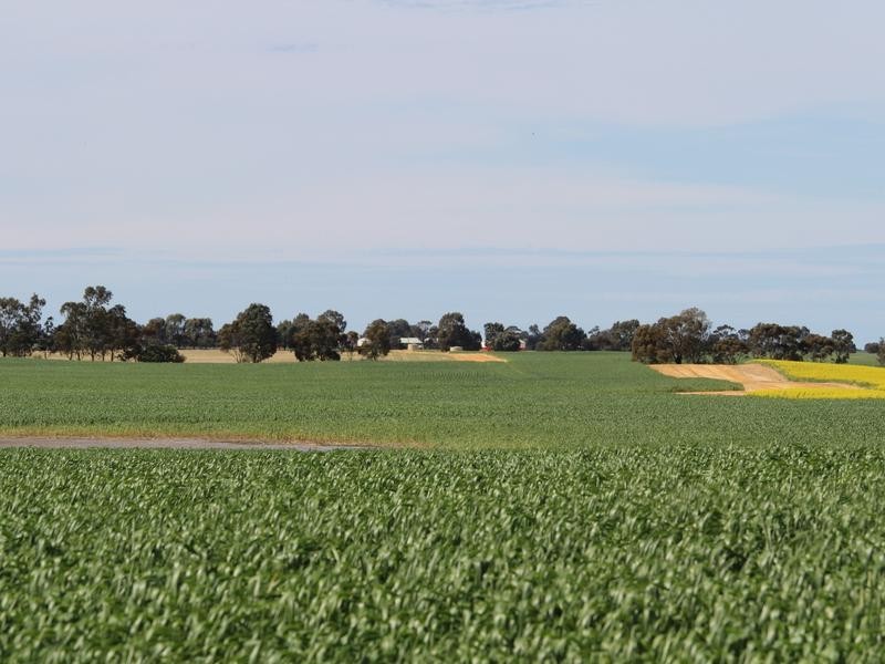 298 Arthurs Road, Telopea Downs VIC 3420