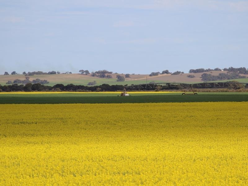 298 Arthurs Road, Telopea Downs VIC 3420