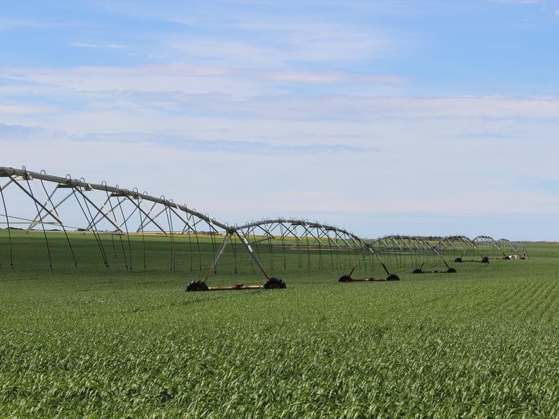 298 Arthurs Road, Telopea Downs VIC 3420