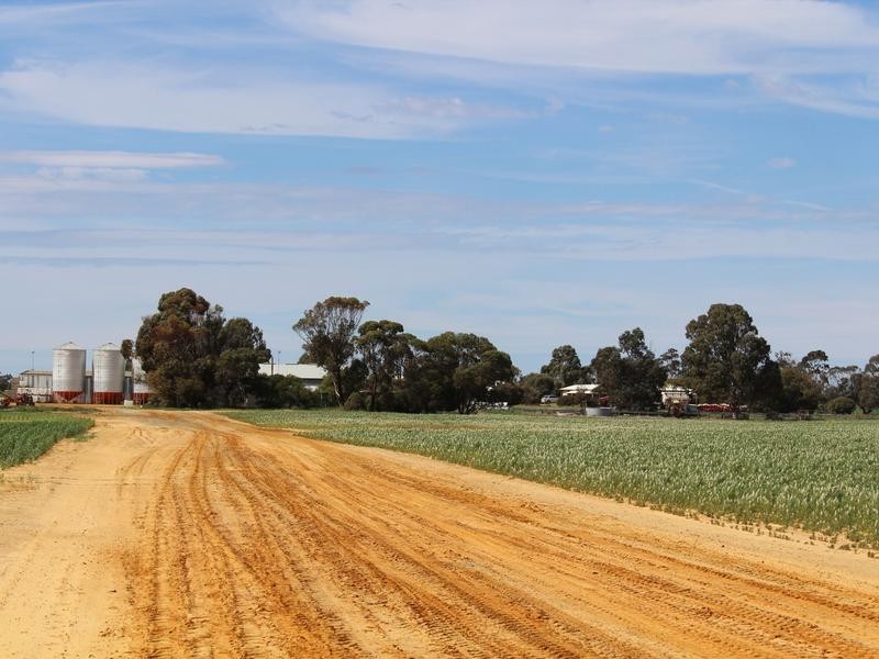 298 Arthurs Road, Telopea Downs VIC 3420