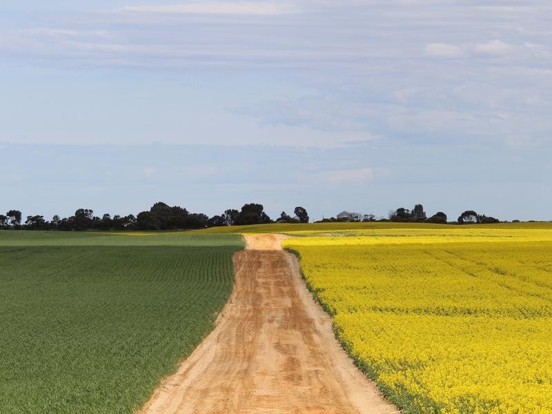 298 Arthurs Road, Telopea Downs VIC 3420