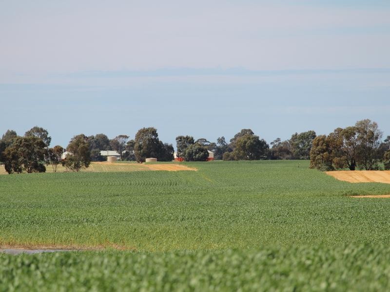 43-45 Scales Street, Penshurst VIC 3289
