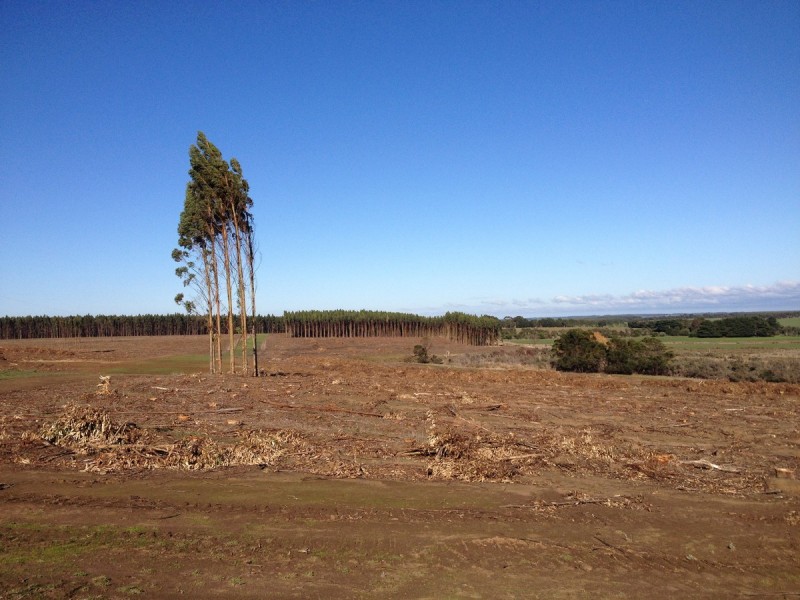 89 Thompson Street, Hamilton VIC 3300