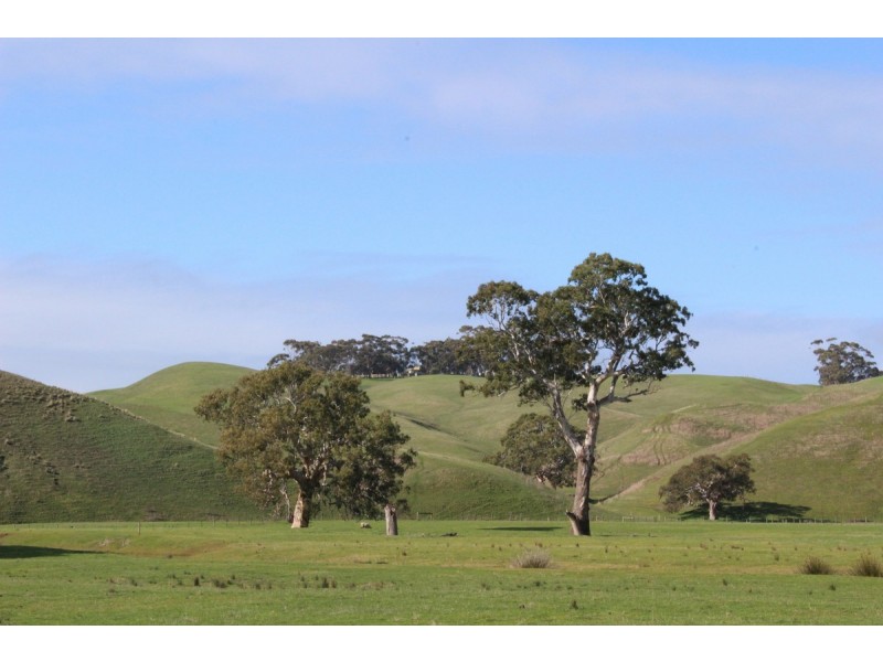 70 Sealeys Road, Sandford VIC 3312