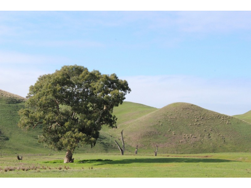 70 Sealeys Road, Sandford VIC 3312