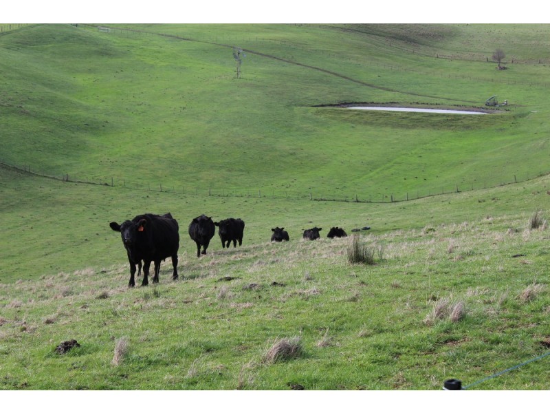 70 Sealeys Road, Sandford VIC 3312