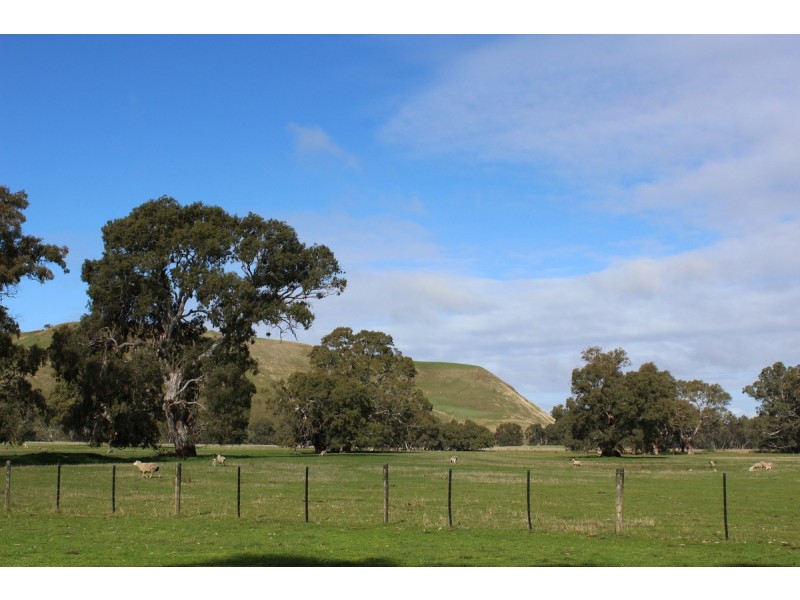 70 Sealeys Road, Sandford VIC 3312