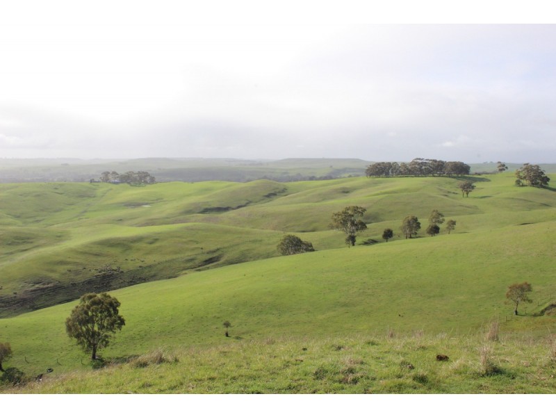 70 Sealeys Road, Sandford VIC 3312