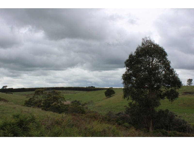 Lyons Road, Macarthur VIC 3286