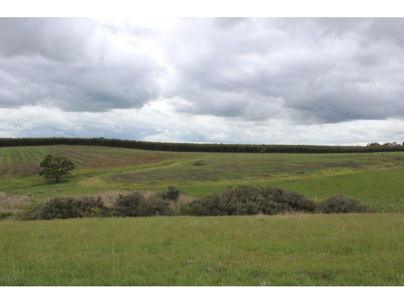 Lyons Road, Macarthur VIC 3286