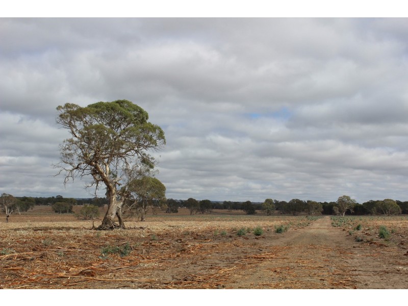 89a Thompson Street, Hamilton VIC 3300