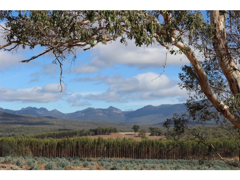 89a Thompson Street, Hamilton VIC 3300