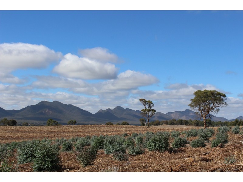 89a Thompson Street, Hamilton VIC 3300