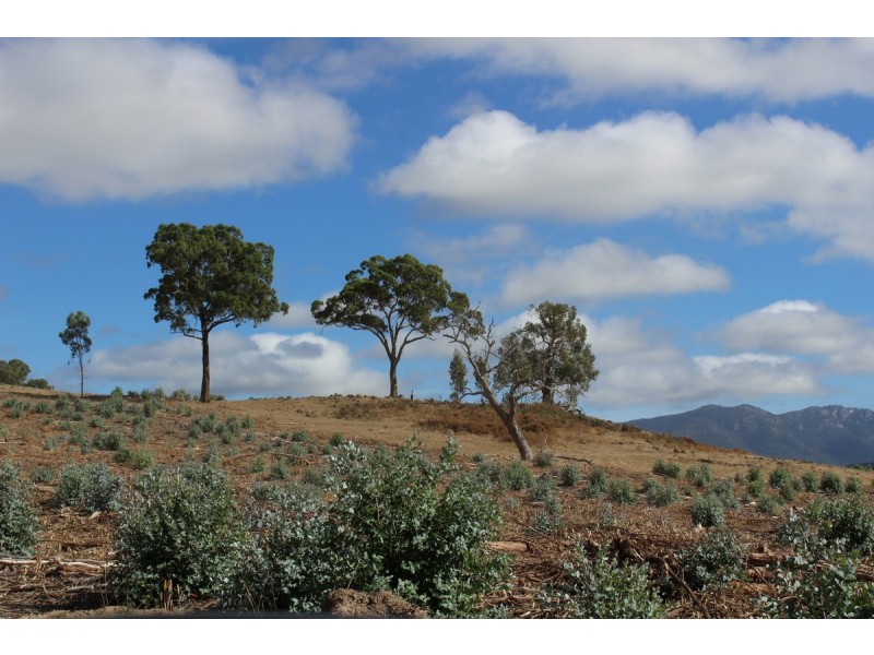 89a Thompson Street, Hamilton VIC 3300