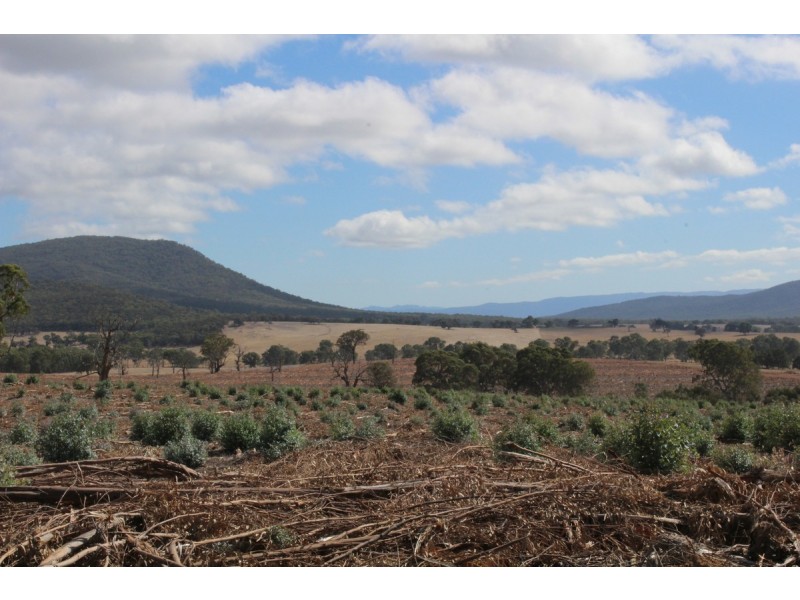 89a Thompson Street, Hamilton VIC 3300