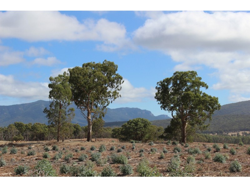 89a Thompson Street, Hamilton VIC 3300