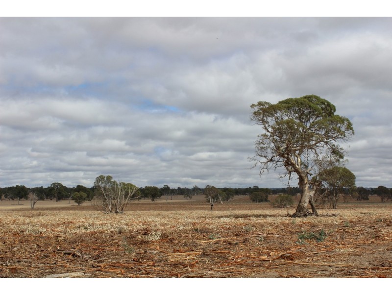 89a Thompson Street, Hamilton VIC 3300