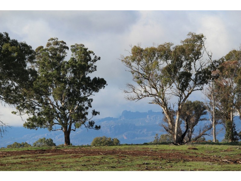 Carters Road, Mooralla VIC 3314