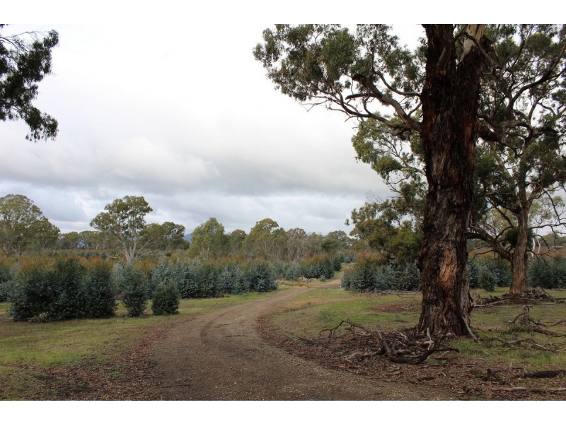 Carters Road, Mooralla VIC 3314