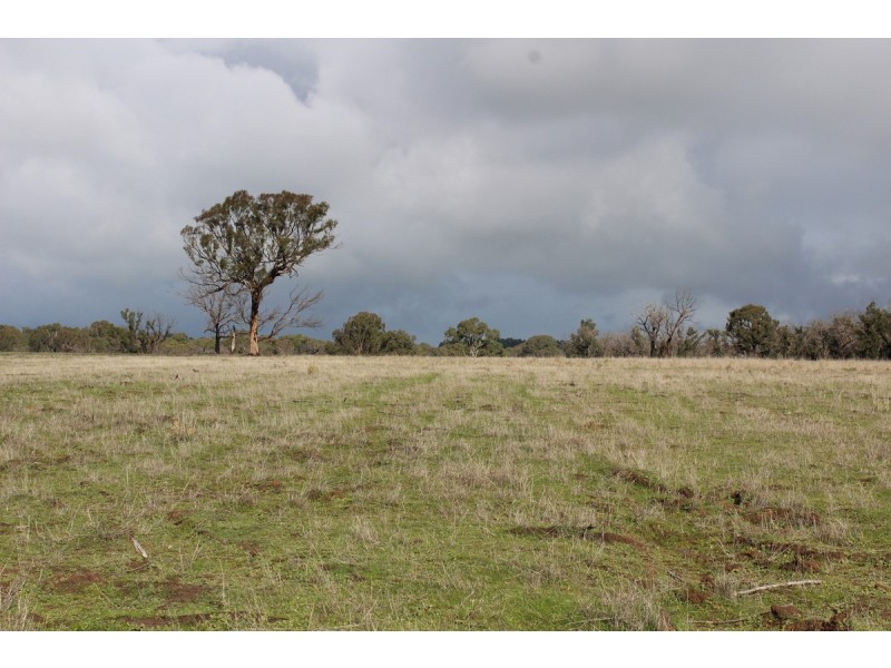 Carters Road, Mooralla VIC 3314