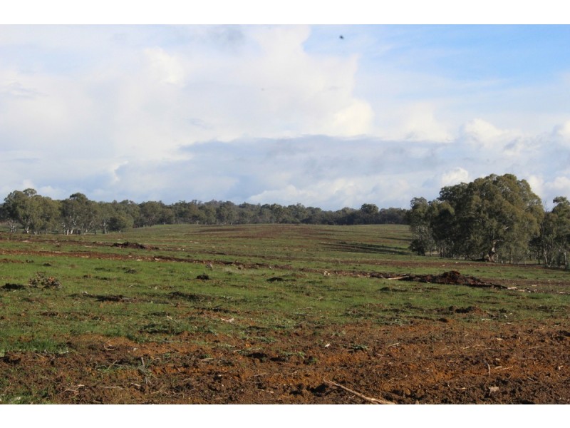 Carters Road, Mooralla VIC 3314