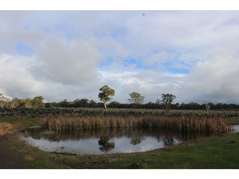 Carters Road, Mooralla VIC 3314