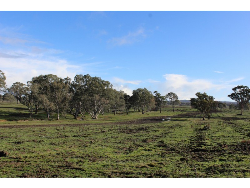 Carters Road, Mooralla VIC 3314