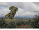 Carters Road, Mooralla VIC 3314
