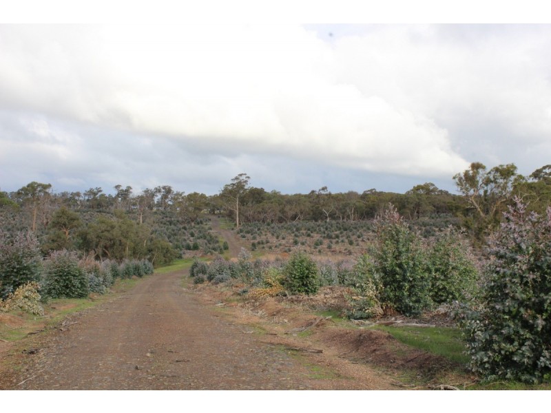 Carters Road, Mooralla VIC 3314