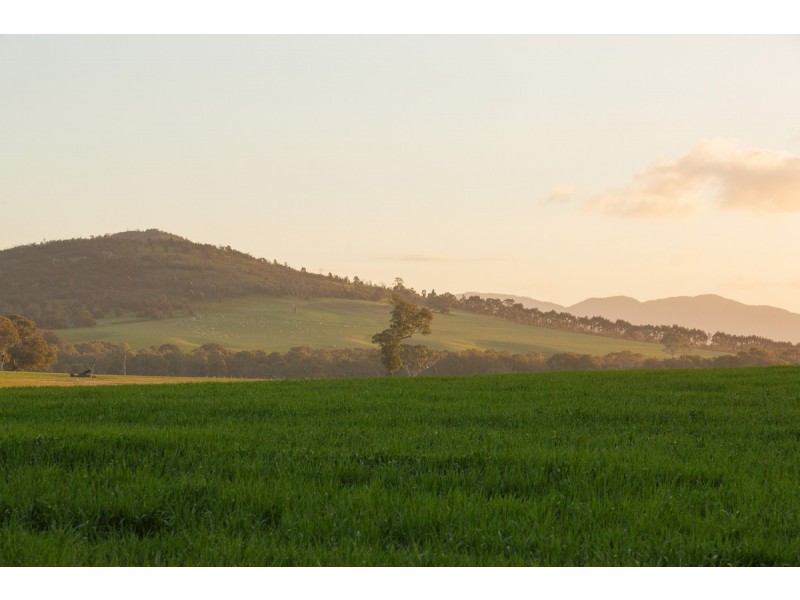 149 Mirranatwa School Road, Mirranatwa VIC 3294