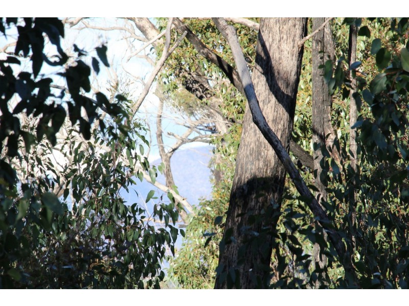 Red Hill Road, Mirranatwa VIC 3294