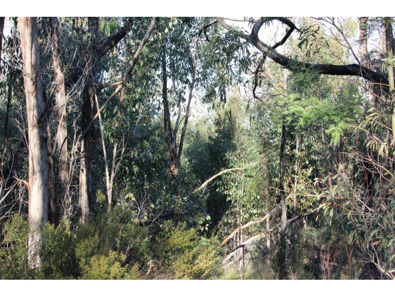 Red Hill Road, Mirranatwa VIC 3294