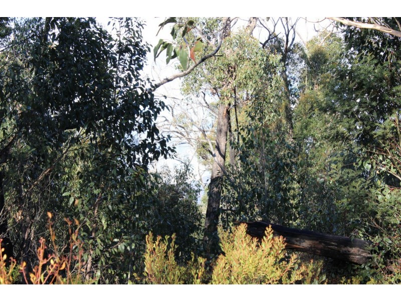 Red Hill Road, Mirranatwa VIC 3294