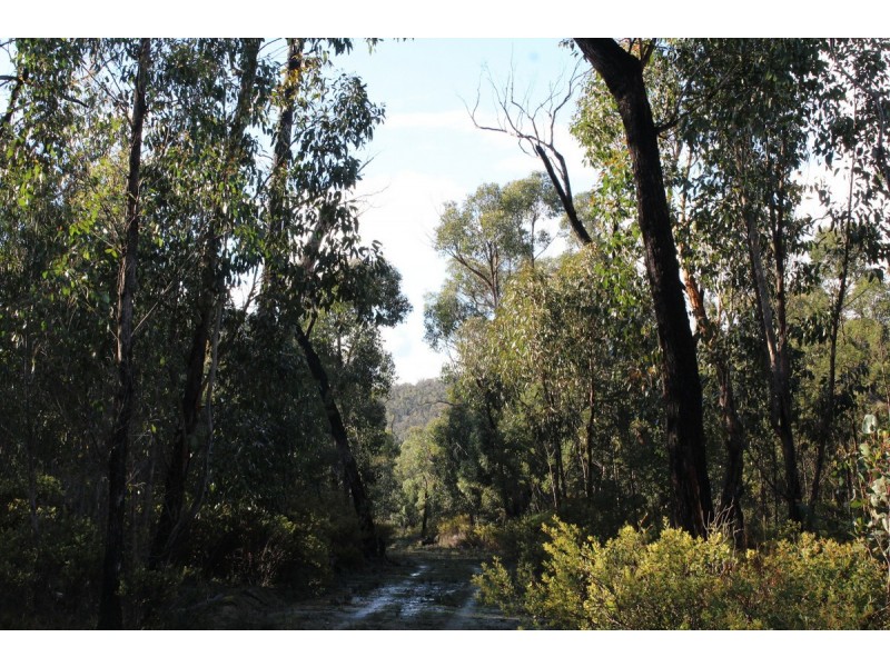 Red Hill Road, Mirranatwa VIC 3294