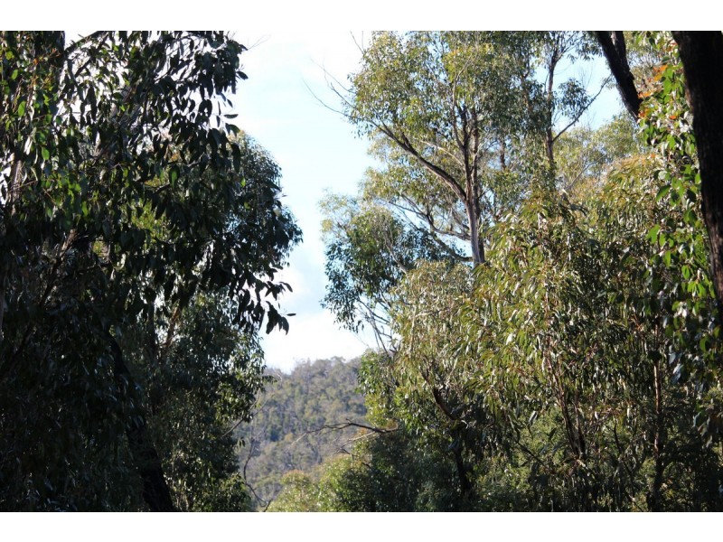 Red Hill Road, Mirranatwa VIC 3294