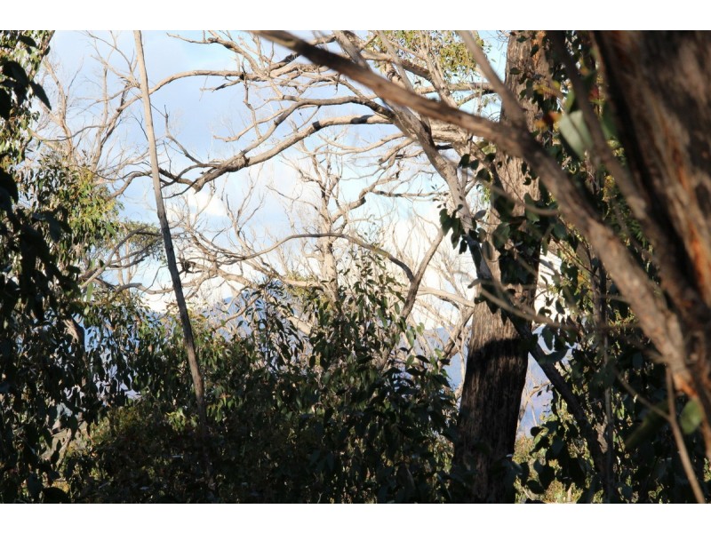 Red Hill Road, Mirranatwa VIC 3294