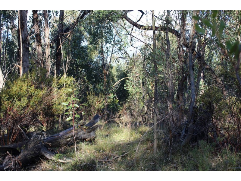 Red Hill Road, Mirranatwa VIC 3294