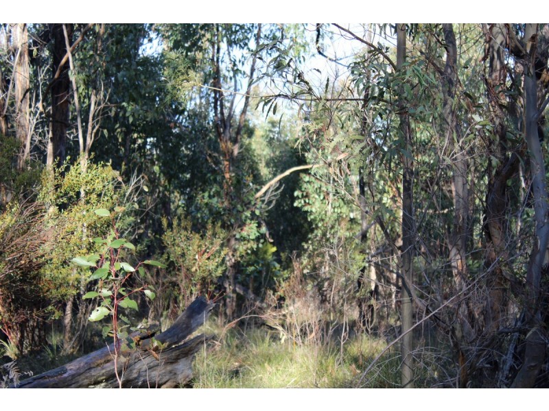 Red Hill Road, Mirranatwa VIC 3294