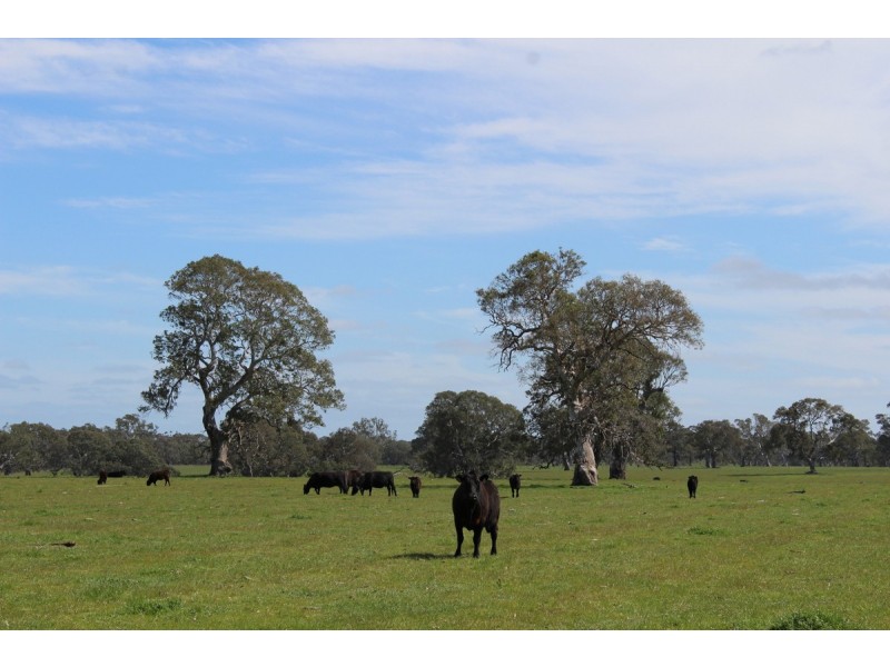 Meins Road, Bulart VIC 3314