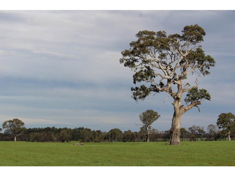 Meins Road, Bulart VIC 3314